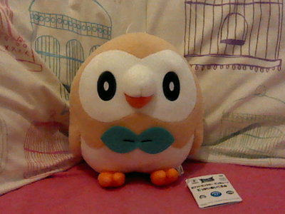 HNI_0083_MPO.JPG HNI_0083_MPO.JPG