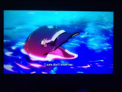 IMG_20190915_203417840.jpg IMG_20190915_203417840.jpg