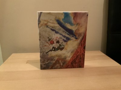 358E5311-20A2-4EE3-BE7D-40E9876FEFDB.jpeg 358E5311-20A2-4EE3-BE7D-40E9876FEFDB.jpeg