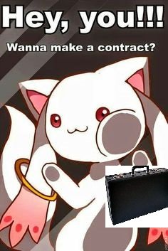 contract.jpg contract.jpg