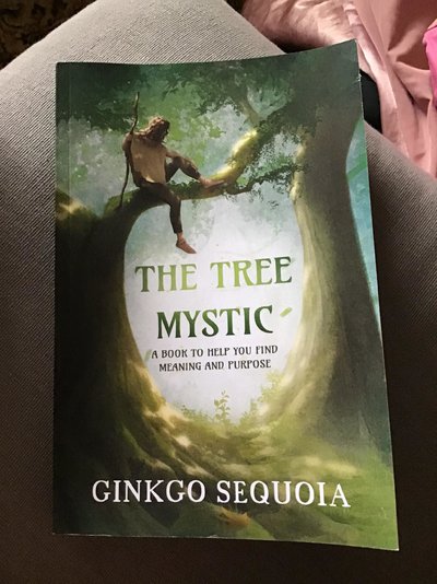 The Tree Mystic Book by Ginkgo Sequoia.jpg