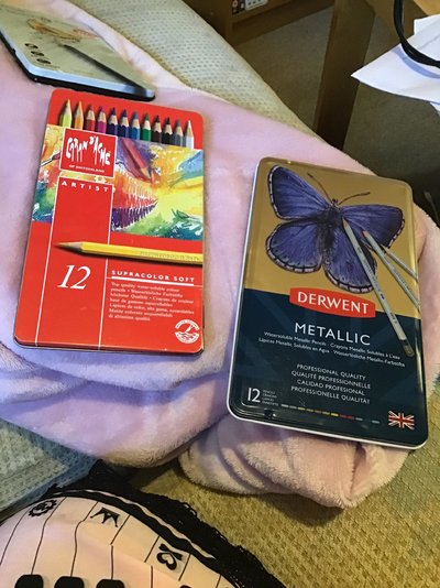 Caran D'ache and Derwent Watercolour Pencils 12 Sets.jpg