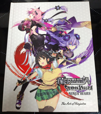 ninja5.jpg