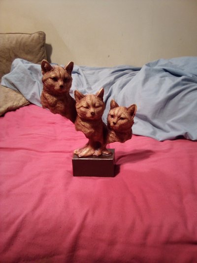 IMG_20220527_203501.jpg IMG_20220527_203501.jpg