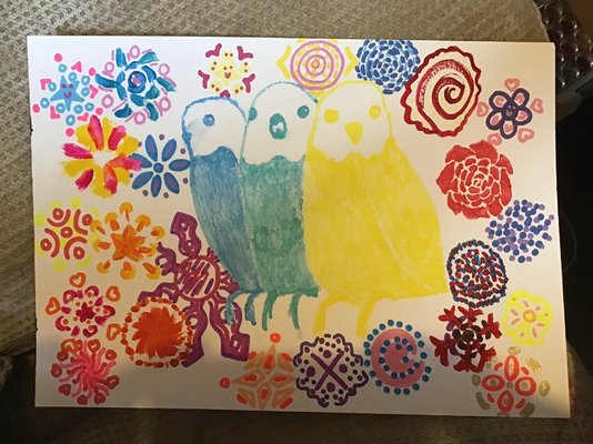 My Artwork Three Amigos Budgies Flower Background Watercolours Watercolour Pencils Oil Paint P...jpg