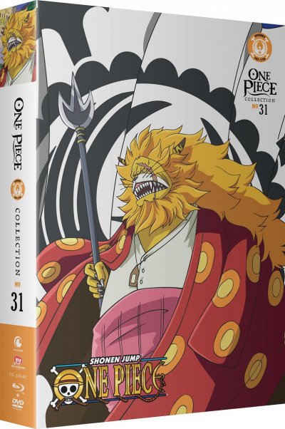 704400105487_anime-one-piece-collection-31-blu-ray-dvd-primary.jpg