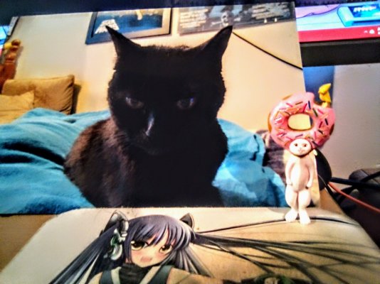 IMG_20230213_223948~2.jpg IMG_20230213_223948~2.jpg