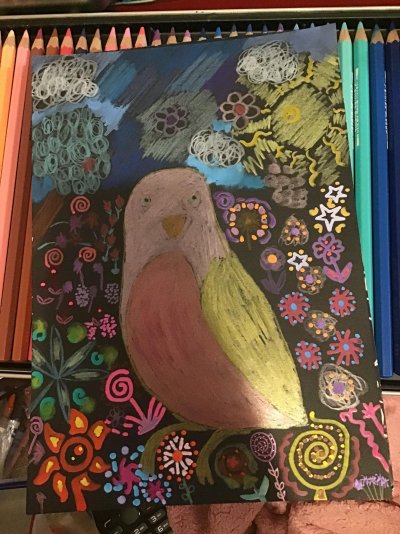 My Artwork Bird Surrounded by Flowers Black Paper Coloured Pencils Tooli Art Acrylic Paint Pen...jpg