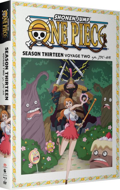 704400107399_anime-one-piece-season-13-part-2-blu-ray-dvd-primary.jpg