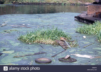 pollution-on-the-grand-union-canal-at-birmingham-E8B4F4.jpg