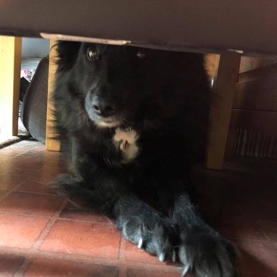 6B9BB2D1-F7AE-426E-862B-E9B9589B652A.jpeg 6B9BB2D1-F7AE-426E-862B-E9B9589B652A.jpeg