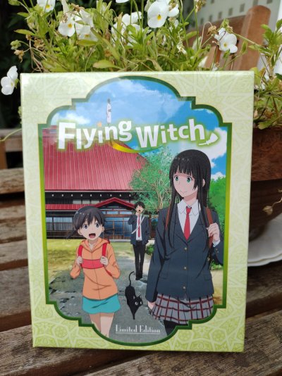 Flying witch.jpg