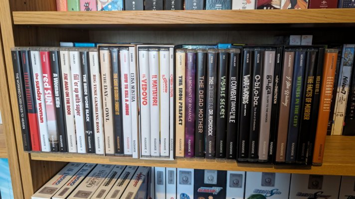 Radiance Films Collection 2024 2.jpg