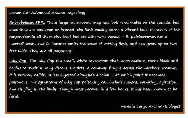 Screenshot_20240307_192612_Microsoft 365 (Office).jpg