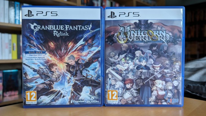 Granblue Fantasy & Unicorn Overlord 1.jpg