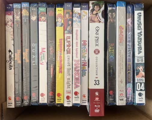 IMG_9267.jpeg IMG_9267.jpeg