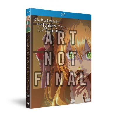 filters_quality(95)format(webp) (2).jpeg filters_quality(95)format(webp) (2).jpeg