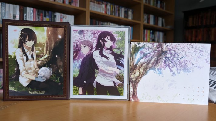 Beautiful Bones - 08.jpg Beautiful Bones - 08.jpg