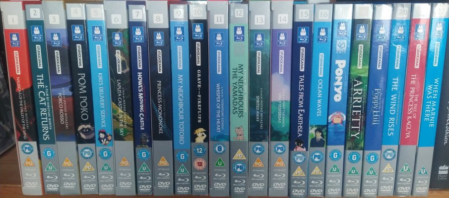 IMG_20240607_123509954 (1).jpg