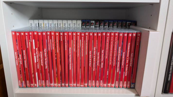 Switch Collection 2024 5 - B.jpg