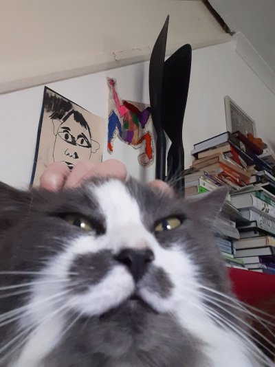 20240616_123816.jpg 20240616_123816.jpg