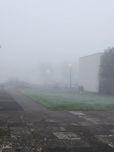 20241018_072433.jpg 20241018_072433.jpg