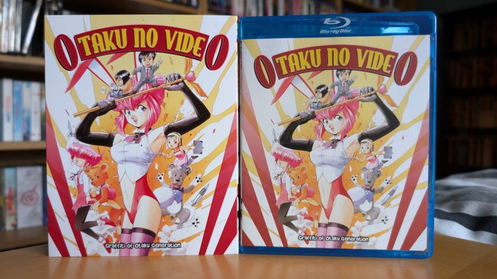 AnimEigo Haul 01 - Otaku no Video 1.jpg