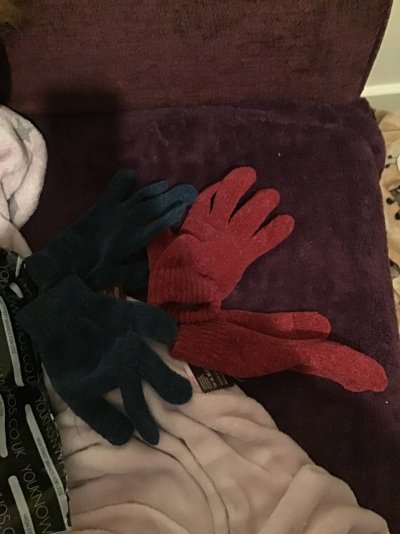 One Pink Pair and One Blue Pair of Chenille Gloves.jpeg