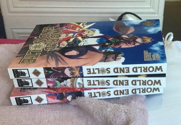 Manga Purchases Spine Stack World End Solte 1-3.jpg