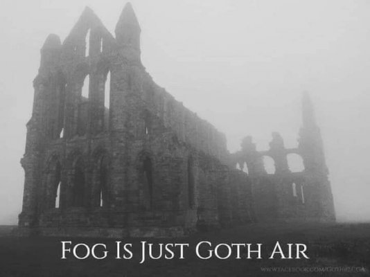 Fog is Just Goth Air.jpg