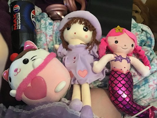 Adorable Temu Plushies - Mermaid, Doll and Cupcake Cat.jpg