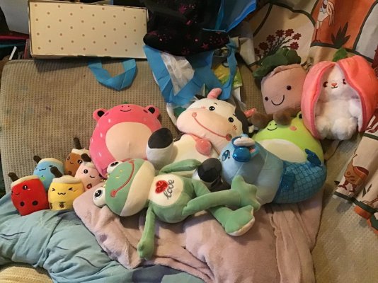 Plushie Haul Temu 06:06:2023.jpg