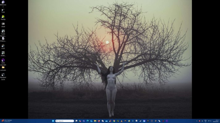 Screenshot 2025-03-26 071328.jpg