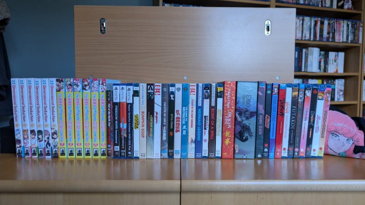 Collection Haul February 2025 - 00.jpg