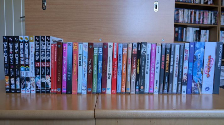 Collection Haul March 2025 - 00.jpg