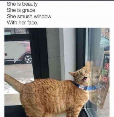 She is Beauty She is Grace She Smush Window With Her Face.jpg