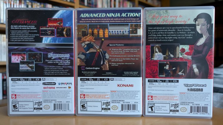 Switch 2025 Haul - 04 - Gleylancer, Ninja Five-O & Rose and Camilia 2.jpg
