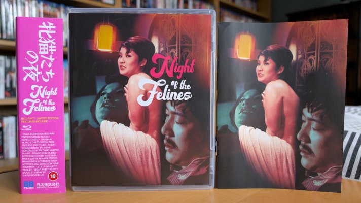 Night of the Felines 1.jpg