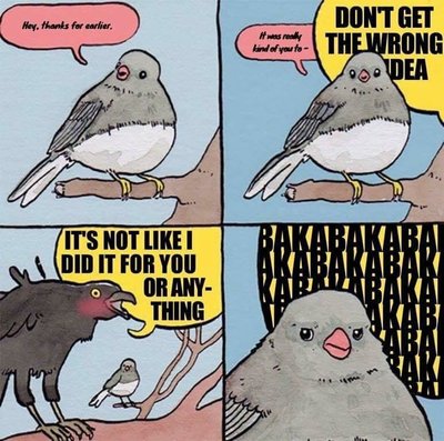 IMG_1505.JPG IMG_1505.JPG