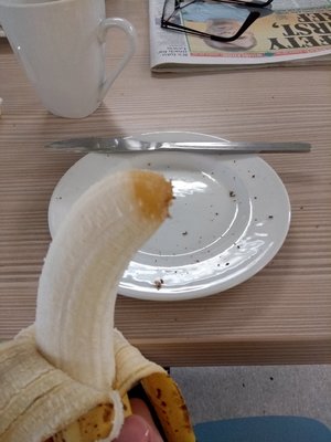 IMG_20180710_100608494.jpg IMG_20180710_100608494.jpg