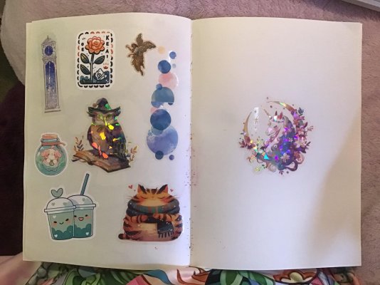 Sticker Test Pages.jpg