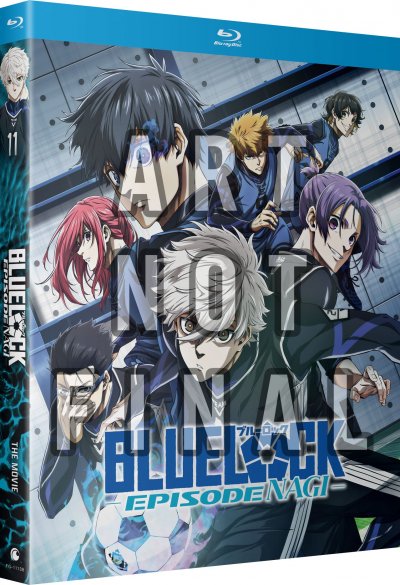 filters_quality(95)format(webp) (2).jpeg