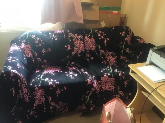 My Lovely New Temu Sofa Throw Black With Pink Cherry Blossoms.jpg