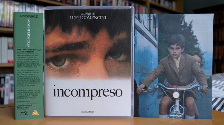 Misunderstood 1.jpg Misunderstood 1.jpg