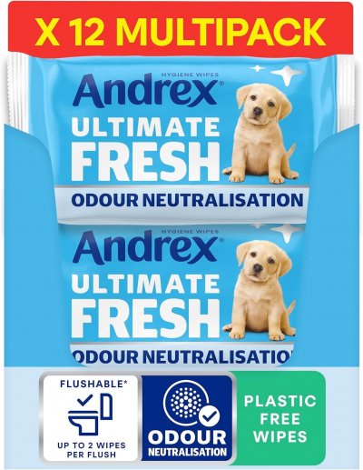 Andrex Moist Toilet Tissue Wipes 12 Packs.jpg