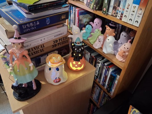 Adorable Halloween Tat From Homesense V2.0 Image 2.jpg