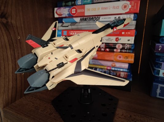 IMG_20250728_201839.jpg IMG_20250728_201839.jpg