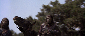 planet-of-the-apes-1968-v0-6w6avftrwf191.gif
