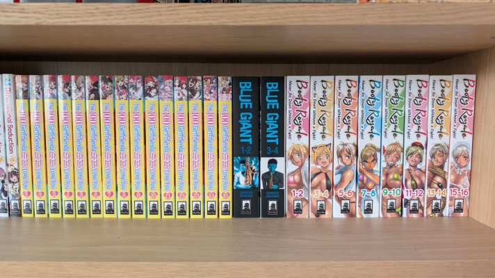 2025 Manga Haul - 05.5 - Shelf.jpg