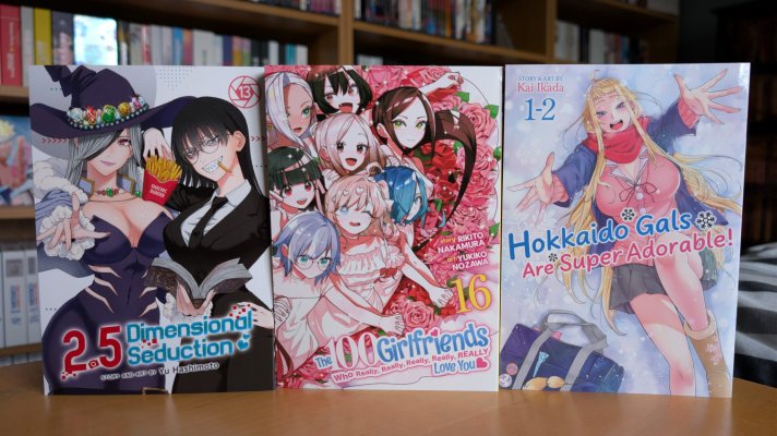 Manga Haul - 2.5 DS 11, 100 Girlfriends 16 & Hokkaido Gals 1.jpg